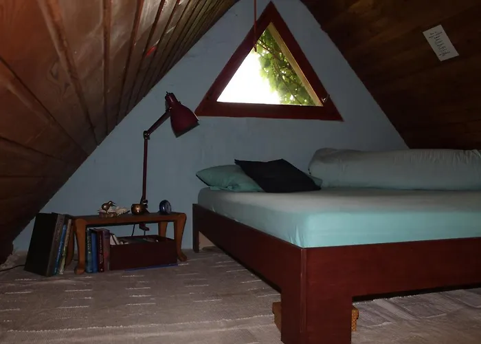 Appartement Altes Schaeferhaus *